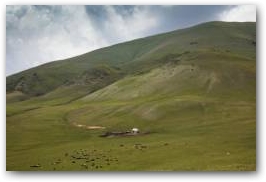 Горные пастбища всегда были летним домом кыргызских  скотоводов. Фото: В.Онопко