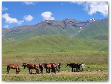 Летние пастбища киргизов.Долина горной красоты и свежего кумыса. Нажмите, чтобы увеличить