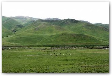 Сусамырская долина — одно из лучших джайлоо Киргизии Нажмите, чтобы увеличить