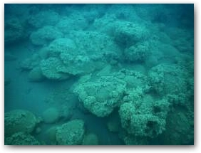 Развитые коралловидные структуры, покрывающие валуны на глубине 15 м Нажмите, чтобы увеличить